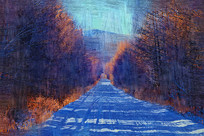 �����ͻ���ɽ��ѩ·��