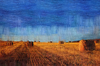 �����ͻ�����Ұ֮�