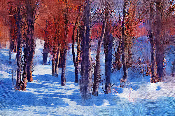 �����ͻ���ѩԭ���֡�