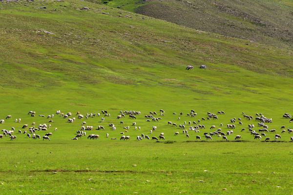 �ļ�����