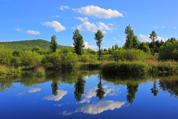 ���ϵ�Ӱ�ַ��