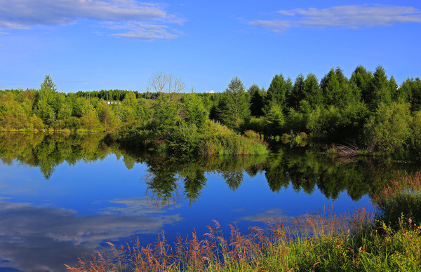 �������ֵ�Ӱ