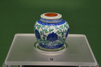 ���ɻ����ʲ�֦�������ָǹ�