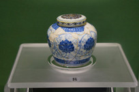 ���ɻ����ʲ�֦�������ֹ�