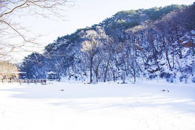 ǧɽ��̶��ͤ��ɽ��