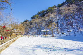 ǧɽ��̶��ͤ��ɽ��ѩ��