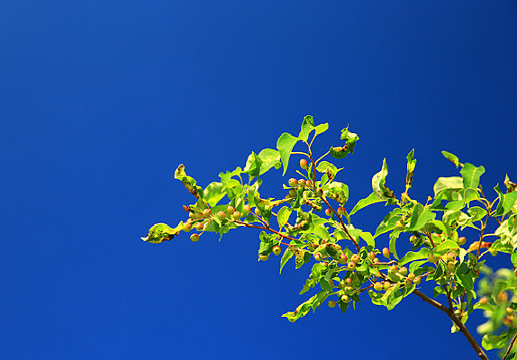 ɽ���������ʵ