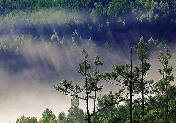 �������