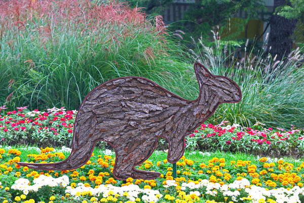 ����Ƥƴ�ƵĴ���ͼ��