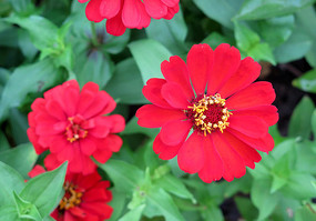 ���޵İ��վջ���