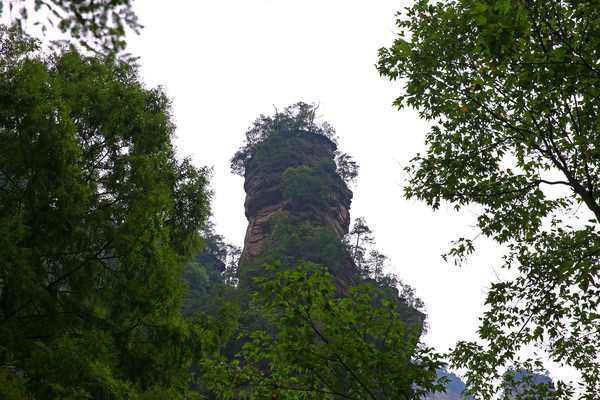 ������ľ���