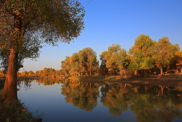 �Ӱ������ֵ�Ӱ