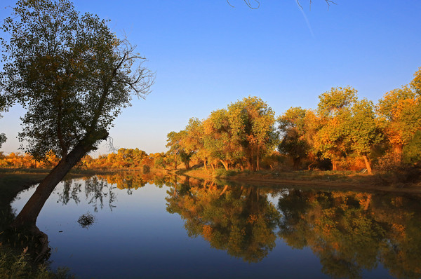 ���Ϻ����ּ���Ӱ��