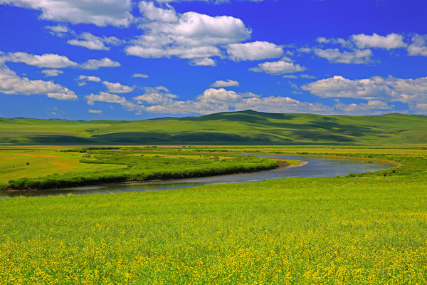 ������Ұ���