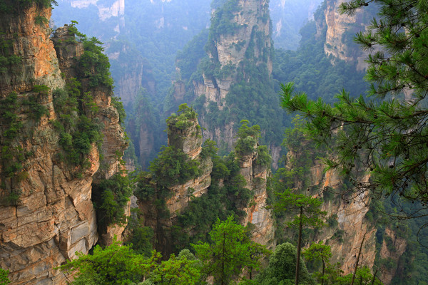 �����żҽ�羰