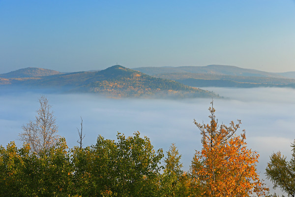 ��ɽ���ƺ�