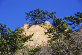 ǧɽ���¸�ɽ��