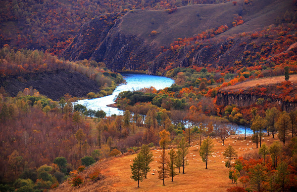 ɭ�ֺ����ﾰ