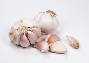 ����ʳ�����