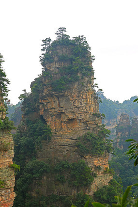 �żҽ羰��ʯ����