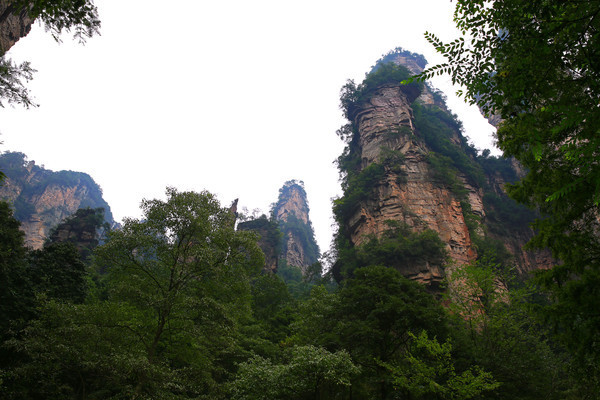 �żҽ�����