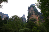 �żҽ�����