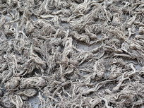 ��ҩ�Ķ���