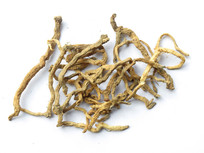 ��ҩ��β��