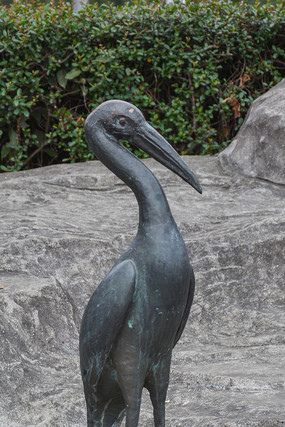 ������Ϣ�ĺ�