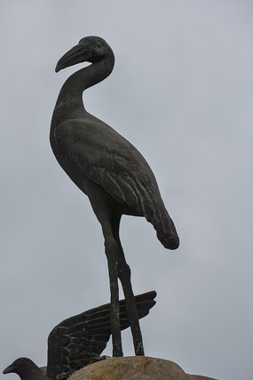 ����վ���ĺ�