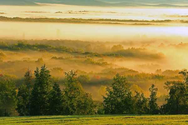 �������ʪ�س���