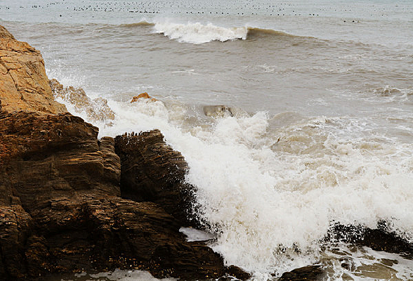 �����Ĵ򺣰�