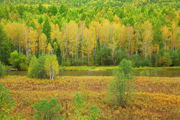 ��������콻��