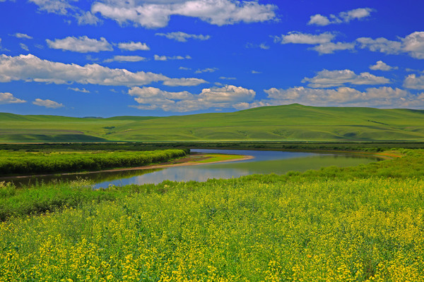 ������԰