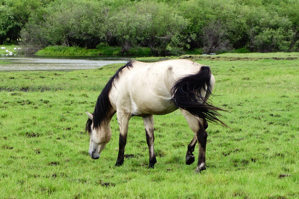 ������ɫ����