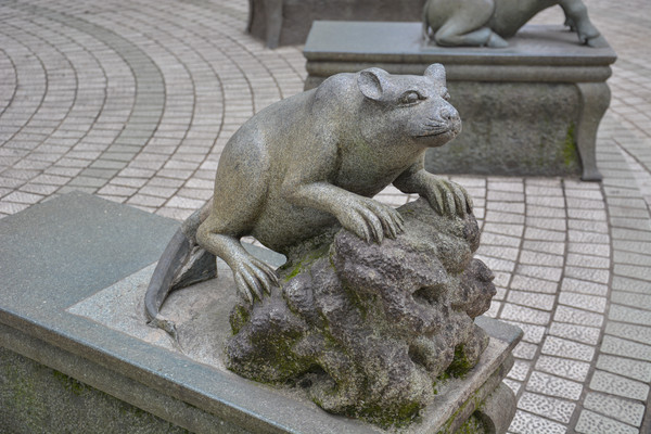 ʯ��ʮ����Ф��