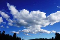 ������յİ���