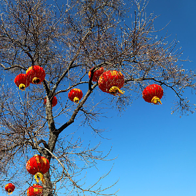 ���ϵĴ�����