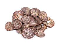 ��ҩ��Ƭ����