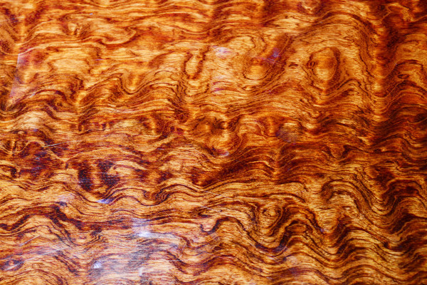 ��ľ�Ƽ���