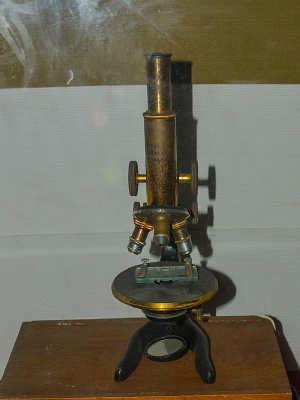 ��ʽ��΢��