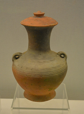 ����˫ϵ������