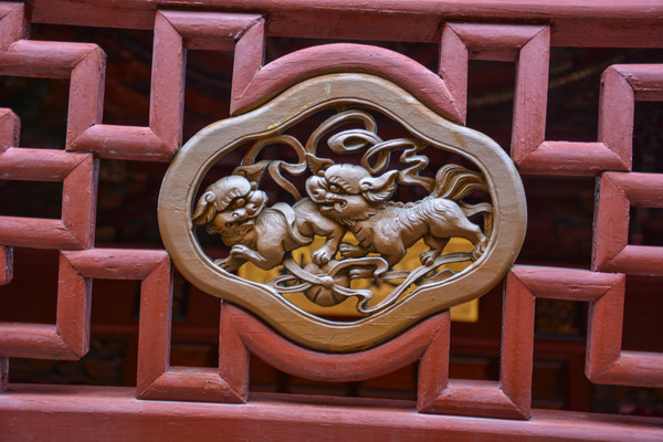 ���������ʨ