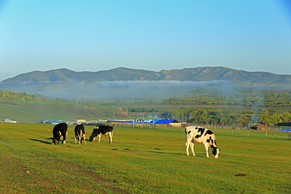 ��ׯ����