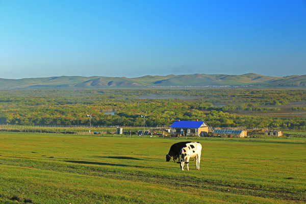 ���ױ���ɭ�ֲ�ԭ����