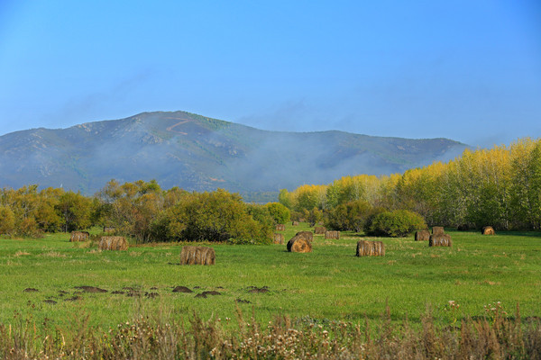 ɽ���µ��＾����