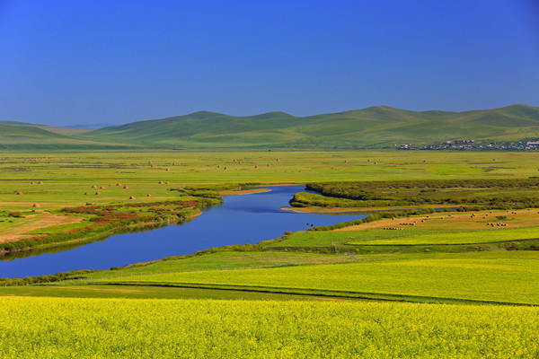 ʪ������