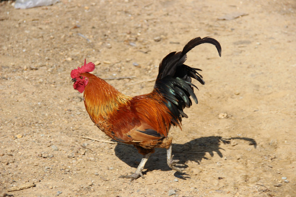 ԭ��̬�칫��