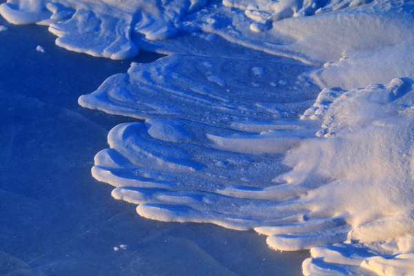 �������̵ı���