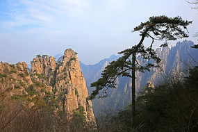 �����İ��ջ�ɽ���